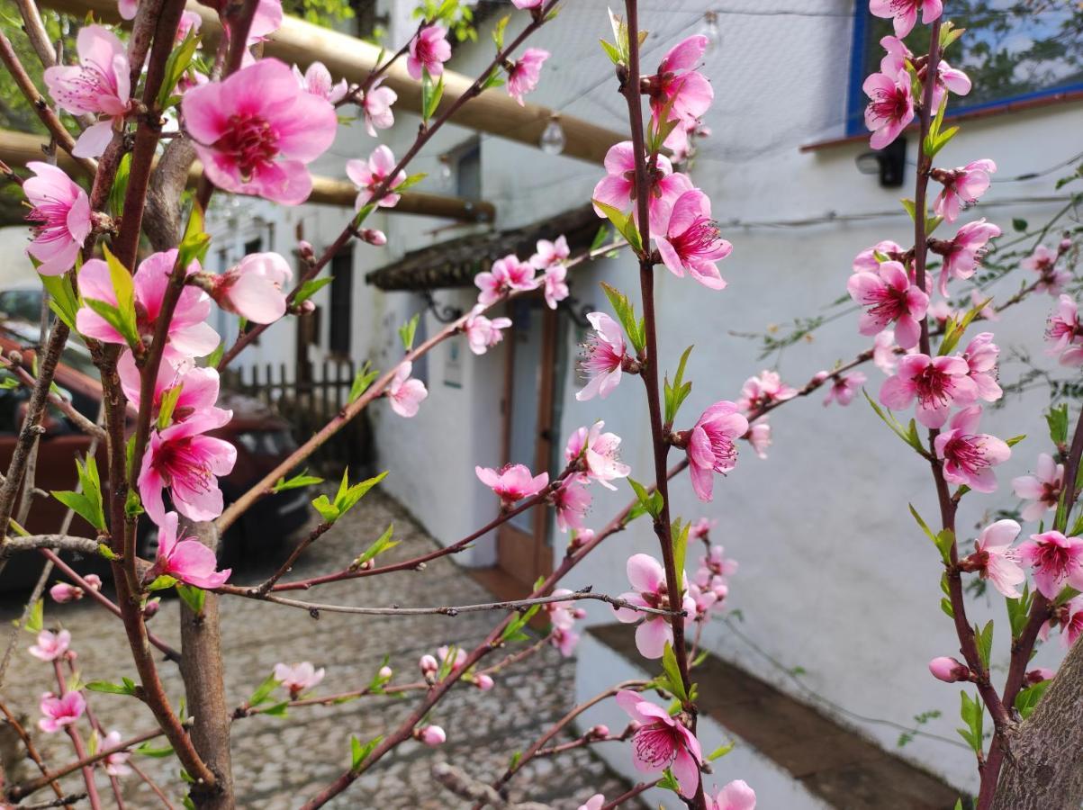 Casita Esperanza Villa Alájar Dış mekan fotoğraf